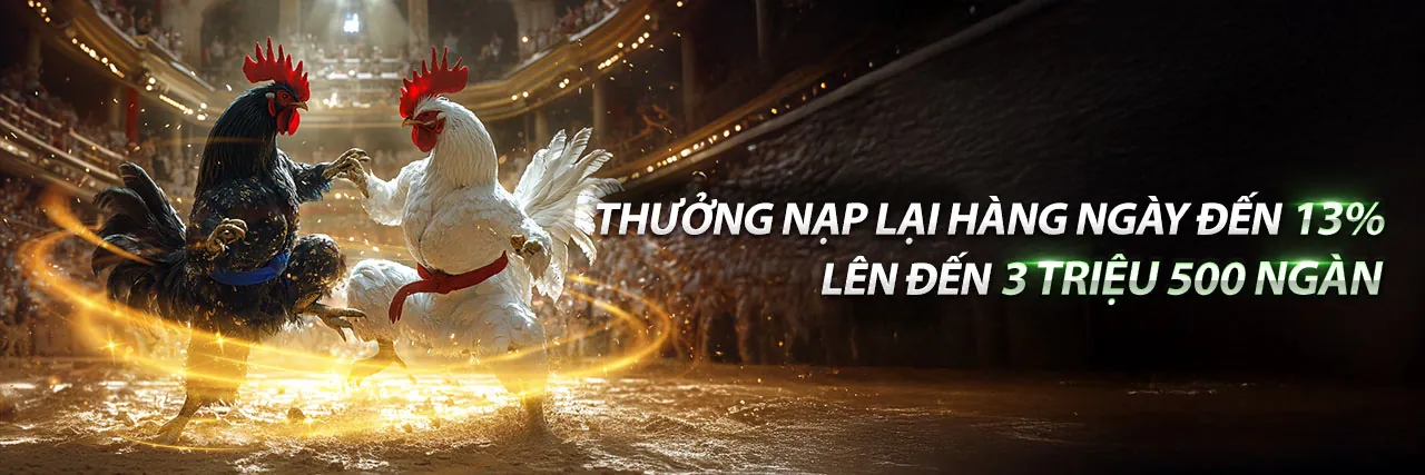 Đá Gà Trực Tiếp 11/8